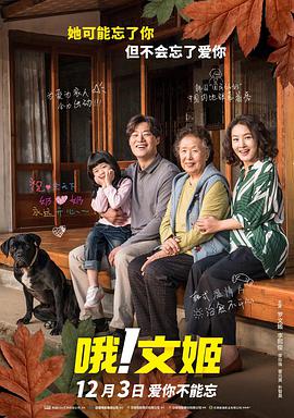 国内精品久久久久影院不卡