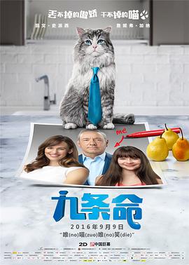 奔跑吧第十季免费完整版在线播放